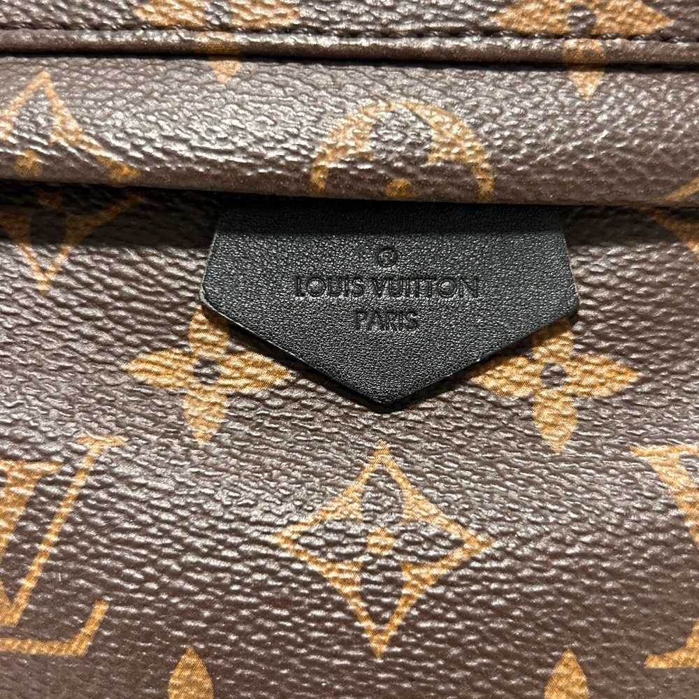 SOLD Louis Vuitton Palm Springs PM - Picture 3 of 15